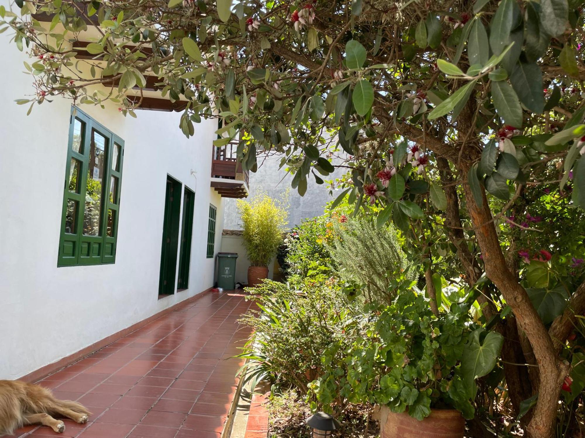 Hostal El Pino Виля Де Лейва Екстериор снимка